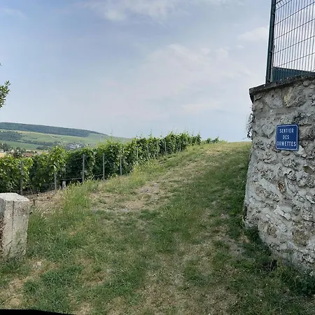 Chez Brigitte Chatillon-sur-Marne