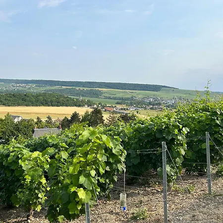 Летний дом Chez Brigitte Chatillon-sur-Marne